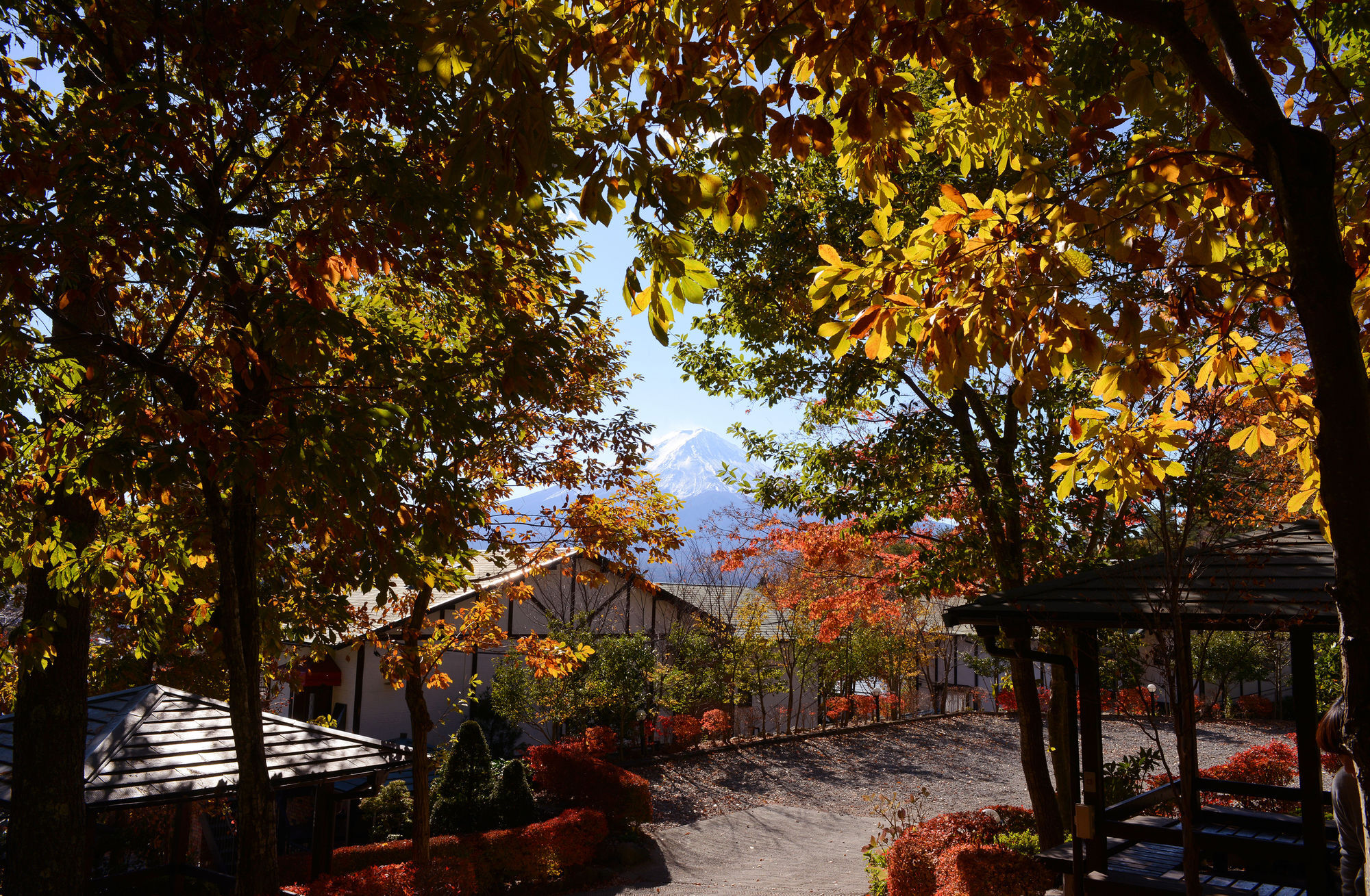 Kawaguchiko Country Cottage Ban Fujikawaguchiko Εξωτερικό φωτογραφία