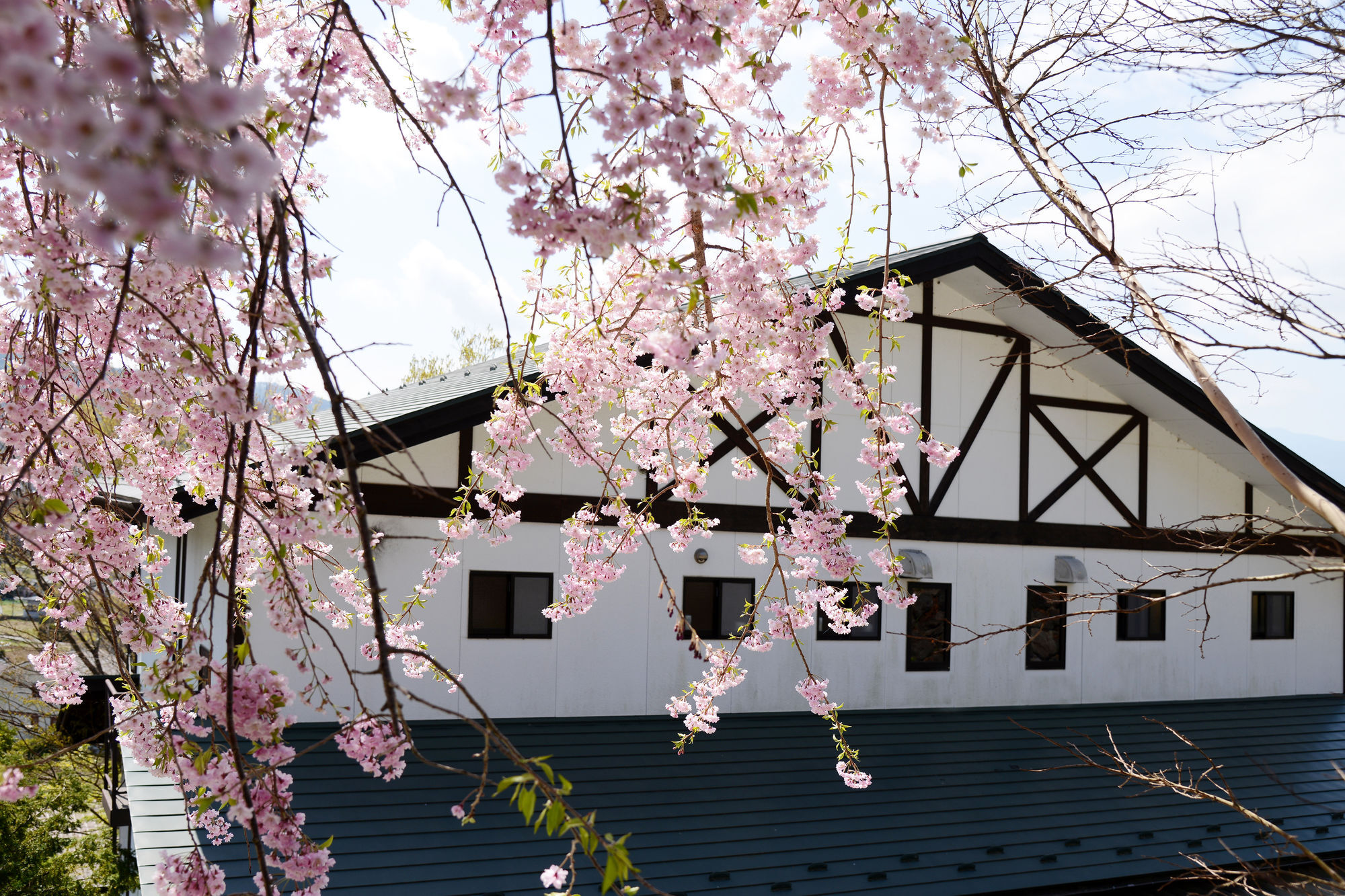 Kawaguchiko Country Cottage Ban Fujikawaguchiko Εξωτερικό φωτογραφία