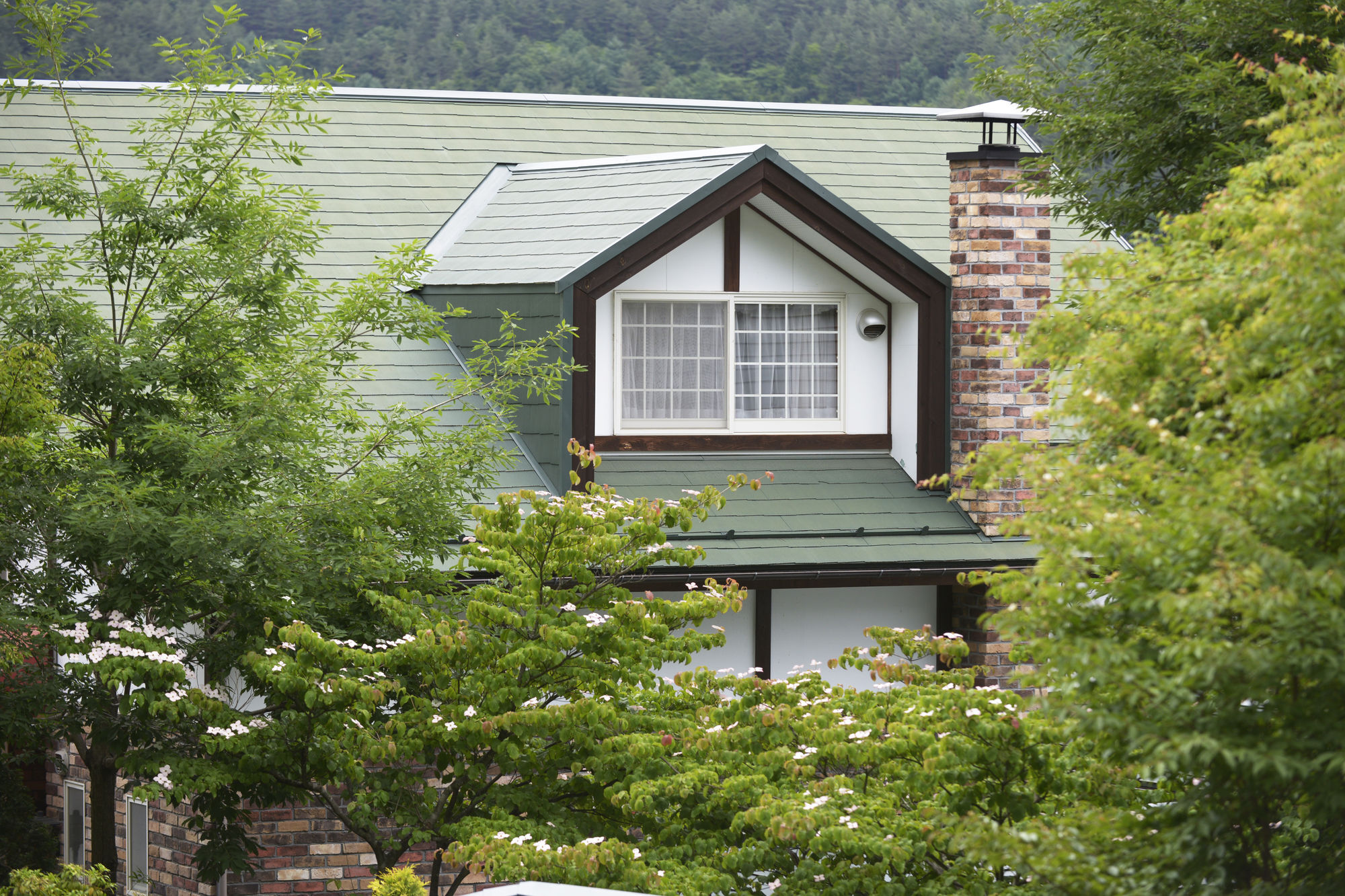 Kawaguchiko Country Cottage Ban Fujikawaguchiko Εξωτερικό φωτογραφία